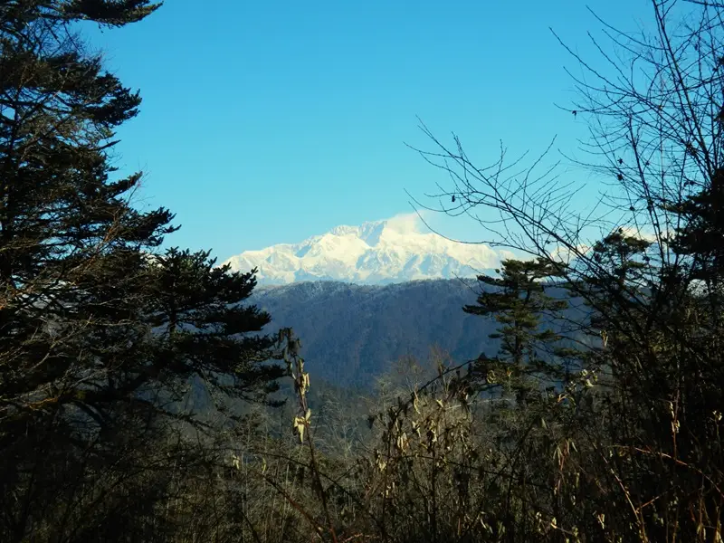 Kanchenjunga from singalila national park